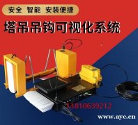 工地塔式起重机安全管理系统  工地塔式起重机可视化系统