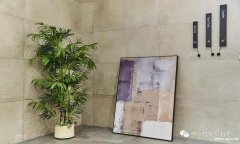 一个网红拍摄基地已诞生