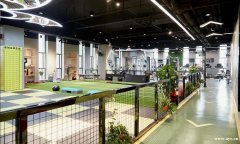 为生活留白的现代简约场景