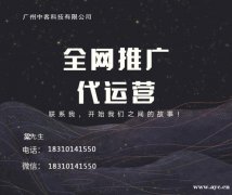 网站建设，网络推广SEO优化，竞价推广，信息流推广