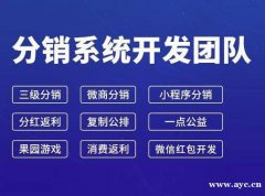 源码定制APP—支付宝跑分系统案例开发