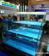 广东大型鱼缸定做厂家 广州洋清海鲜池订做公司