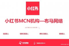 广州网络营销公司，提供品牌策划，网络推广，网红资源