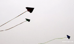 2020广州市区遥控飞行培训课程小学生飞行培训