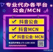 全网大部分平台公会、MCN可代办大量接单！