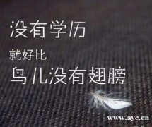 低学历上班族考本科自考培训湖南工商大学市场营销专业