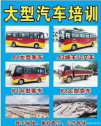 广州增驾大客车A1拖头车A2公交车A3中巴车B1大