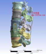 ansys结构力学生物力学骨科口腔分析培训