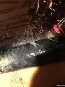 番禺工厂漏水检测，广州暗管漏水检测