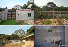 广州训犬学校 专业的宠物培训基地 有素宠物训练学校