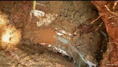 南沙消防水管不保压检测，自来水管压力偏低检测