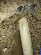 广州家庭客厅漏水检测，广州家庭厨房漏水检测