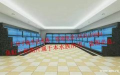 广州上门鱼缸定制、专业上门定做鱼缸