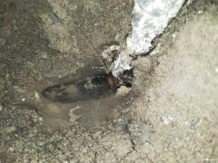 东莞房屋漏水原因检测，家庭自来水管漏水检测