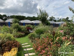 深圳好玩的农家乐可以做拓展的农家乐