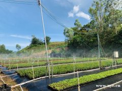 推荐深圳好玩的农家乐一条龙服务