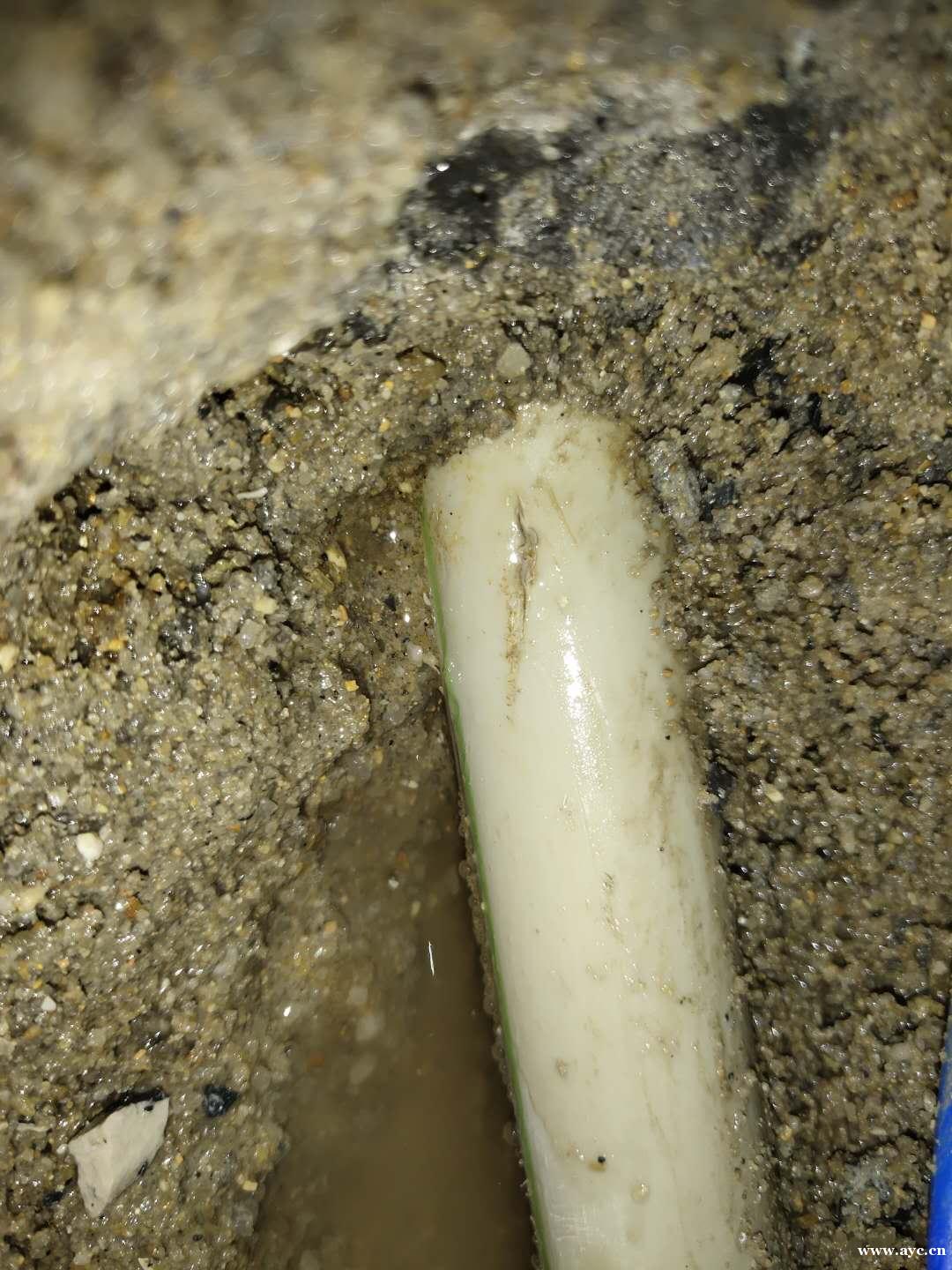 东莞家庭水管渗漏检测,东莞消防管渗漏检测 东莞家庭水管渗漏检测,东莞消防管渗漏检测