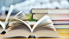 达晋编译：语篇对等原则下的学术论文翻译