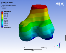 Ansys生物力学有限元分析培训