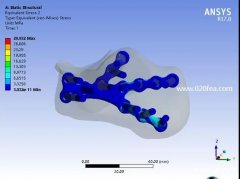 Ansys生物力学有限元分析培训
