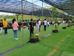 深圳推荐不错的农家乐龙岗农家乐生态园