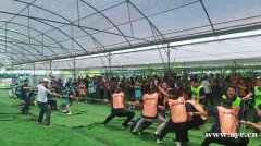 深圳龙岗农家乐九龙生态园经典介绍