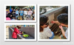 火速跪求：武汉素质拓展哪家比较强，江夏附近农庄让你对它流连忘