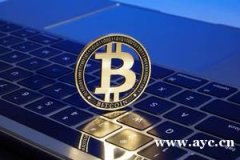 区块链支付系统开发方案,usdt跑分系统搭建 区块链支付系统开发方案,usdt跑分系统搭建