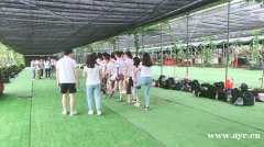 深圳南山好一点的农家乐九龙生态园