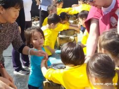 深圳龙岗国庆期间就来九龙生态园