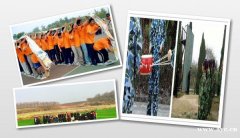 武汉团建基地又来问了哪口碑好你还不知道这里效果您满意