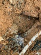 东莞埋地绿化管漏水检测，东莞埋地喷淋管漏水检测