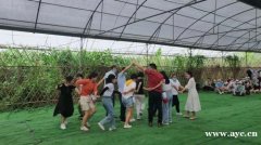 深圳龙岗小编推荐可以自己做饭的农家乐九龙生态园