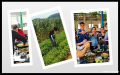 还有谁不知道？武汉公司拓展哪里值得，洪山周边农家乐让你不是所