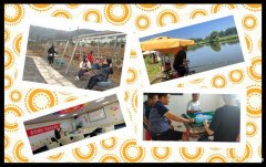 落叶知秋，武汉团队出游哪里值得推荐？这个地方一定会让你惊艳