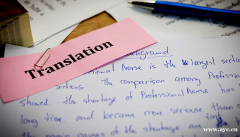 医刊汇：浅议科技论文翻译中英汉两种语言的词汇差异