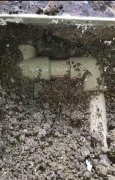 广州家庭厕所漏水检测，埋地PPR管漏水检测
