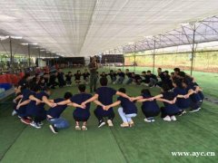 深圳龙岗可以拓展自己做饭的农家乐之九龙生态园