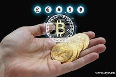 区块链承兑支付系统开发源码,usdt支付平台搭建 区块链承兑支付系统开发源码,usdt支付平台搭建