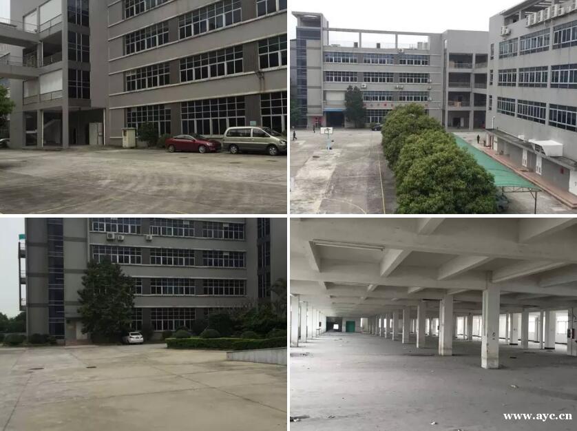 新塘工业区12000平方厂房招租 可分租 可办环评 新塘工业区12000平方厂房招租 可分租 可办环评