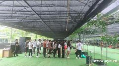 深圳适合趣味运动会好去处的农家乐九龙生态园