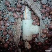 广州复式楼水管漏水检测，办公楼水管漏水检测