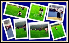 有点小激动！洪山员工出游这有一个不错的拓展场地，果然不错