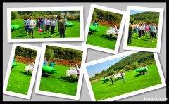 有点东西！洪山公司一日游这有一个不错的游玩景点，真给力