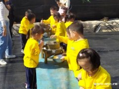 深圳最近很火的亲子游首选之地深圳九龙生态园特色展示