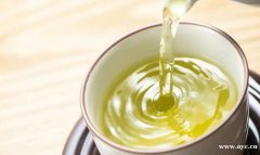 綠茶當水飲？ 隨時加重骨質疏鬆病癥！