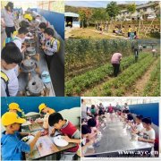 武昌亲子游周边素质教育劳逸结合有采摘给你答案