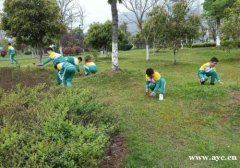 2020深圳亲子游走进九龙生态园纵情山水间