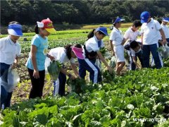 2020深圳亲子游走进九龙生态园纵情山水间