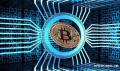 数字货币永续合约交易所开发,合约跟单软件搭建 数字货币永续合约交易所开发,合约跟单软件搭建